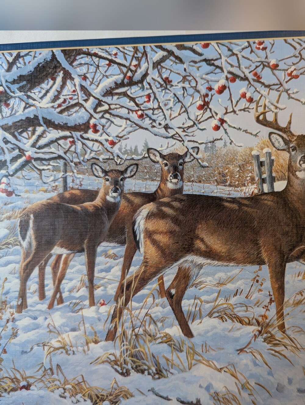 Winter Deer 500 Piece Jigsaw Puzzle By Cobble Hill